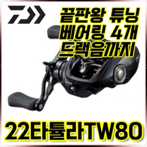22 타튤라TW 80 드랙음튜닝, 베어링4개,구리스 도포까지